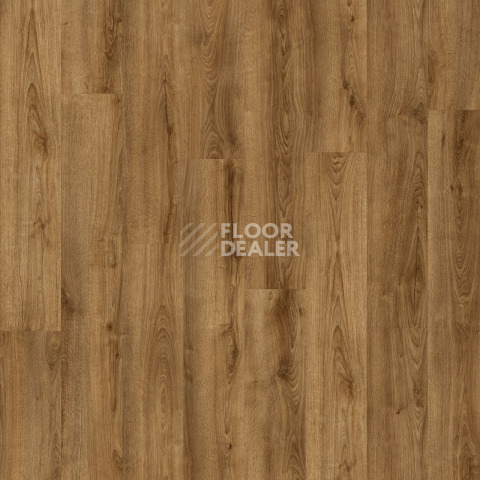 Кварцвиниловые полы Moduleo Next дерево Shelby Oak 853 фото 1 | FLOORDEALER